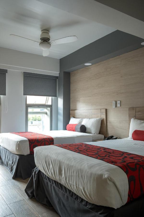 Hotel Roble Mexico Extérieur photo
