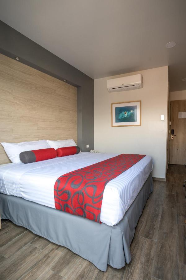 Hotel Roble Mexico Extérieur photo